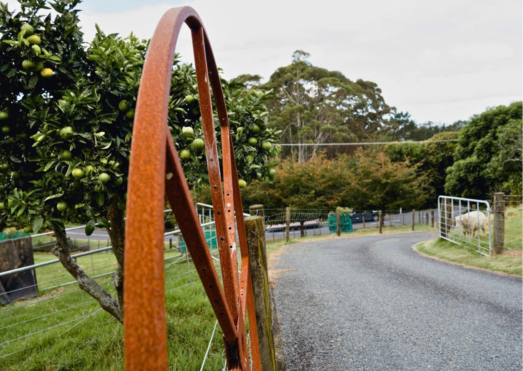 陶朗加 Minden Meadows Retreat酒店 外观 照片